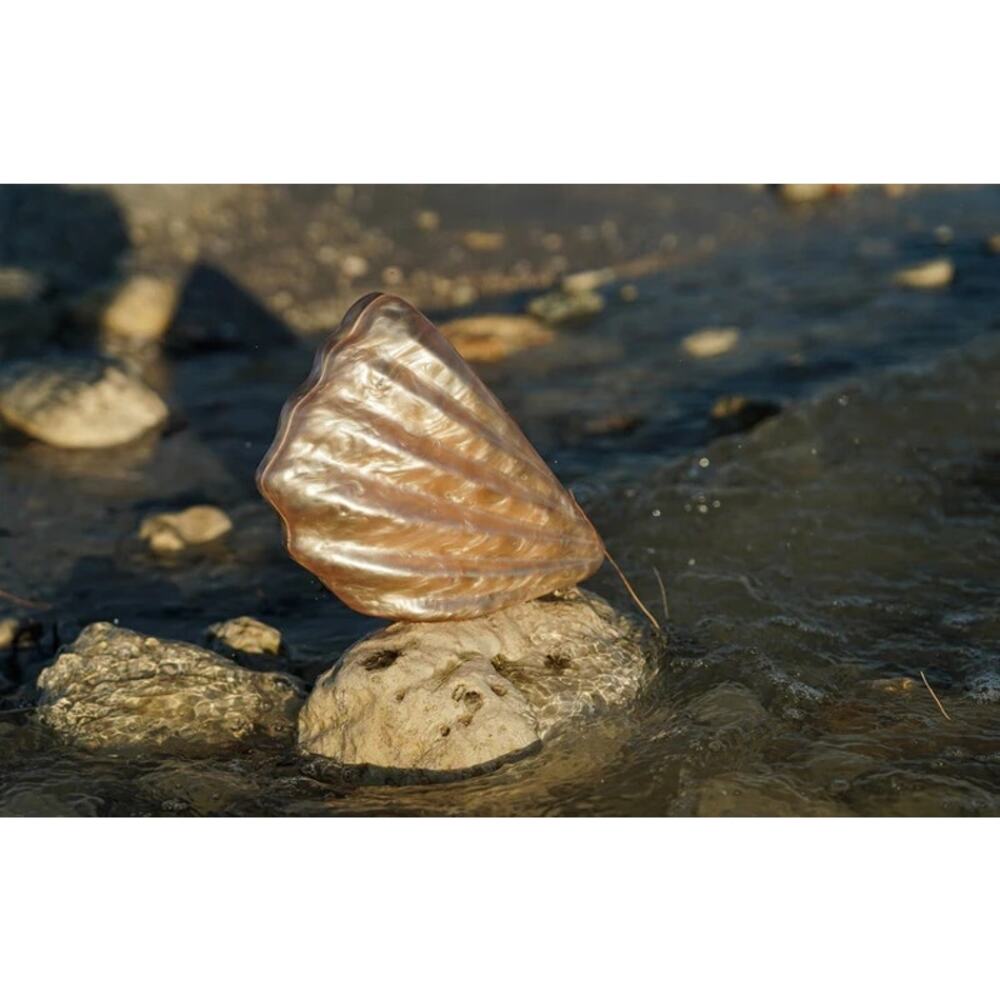 NWT Most Wanted Acrylic Shell Clutch Bag with Silver Chain